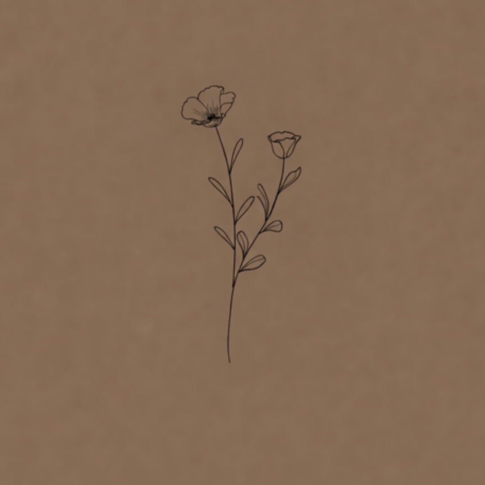 Hybrid 3wk Fill at Beauty Building in Webster, NY