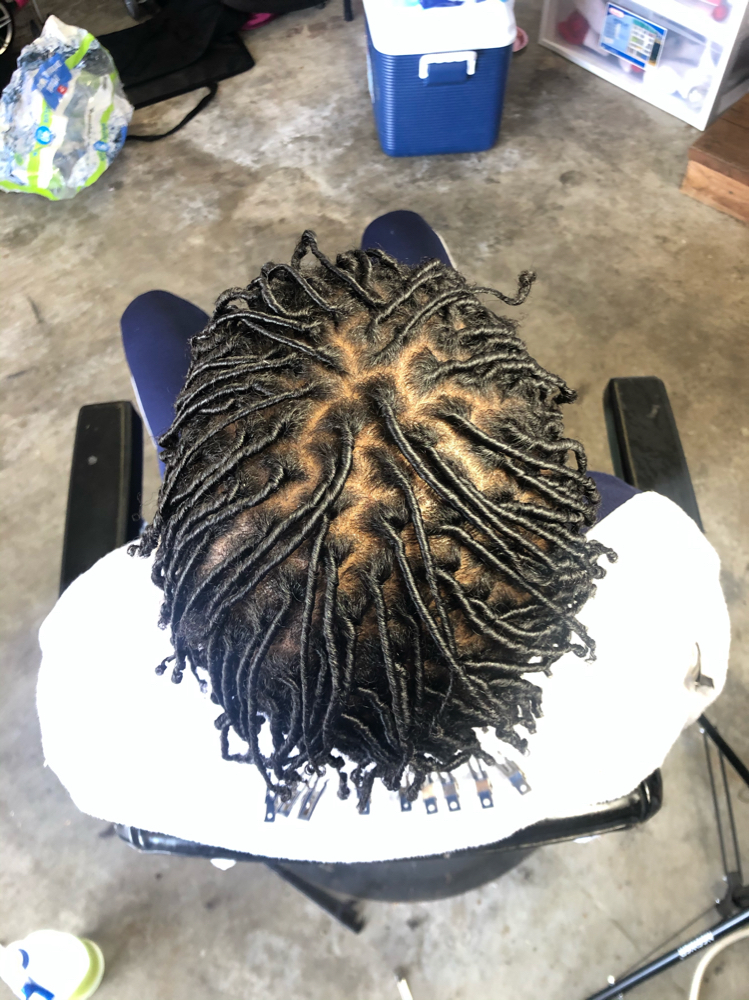 Starter Locs
