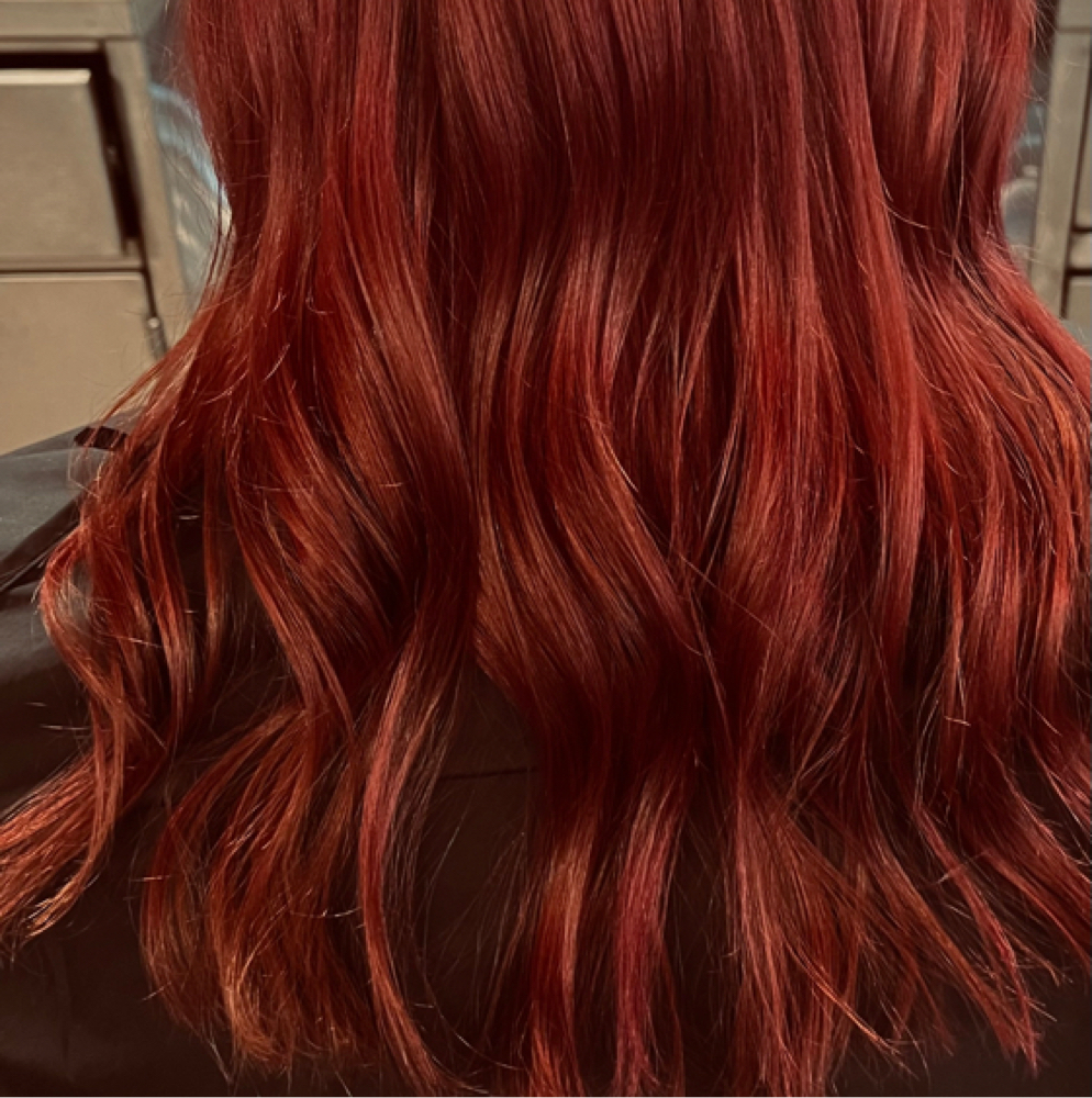 Full Color( Root To Ends) at EM’S HAIR STUDIO in Commerce City, CO