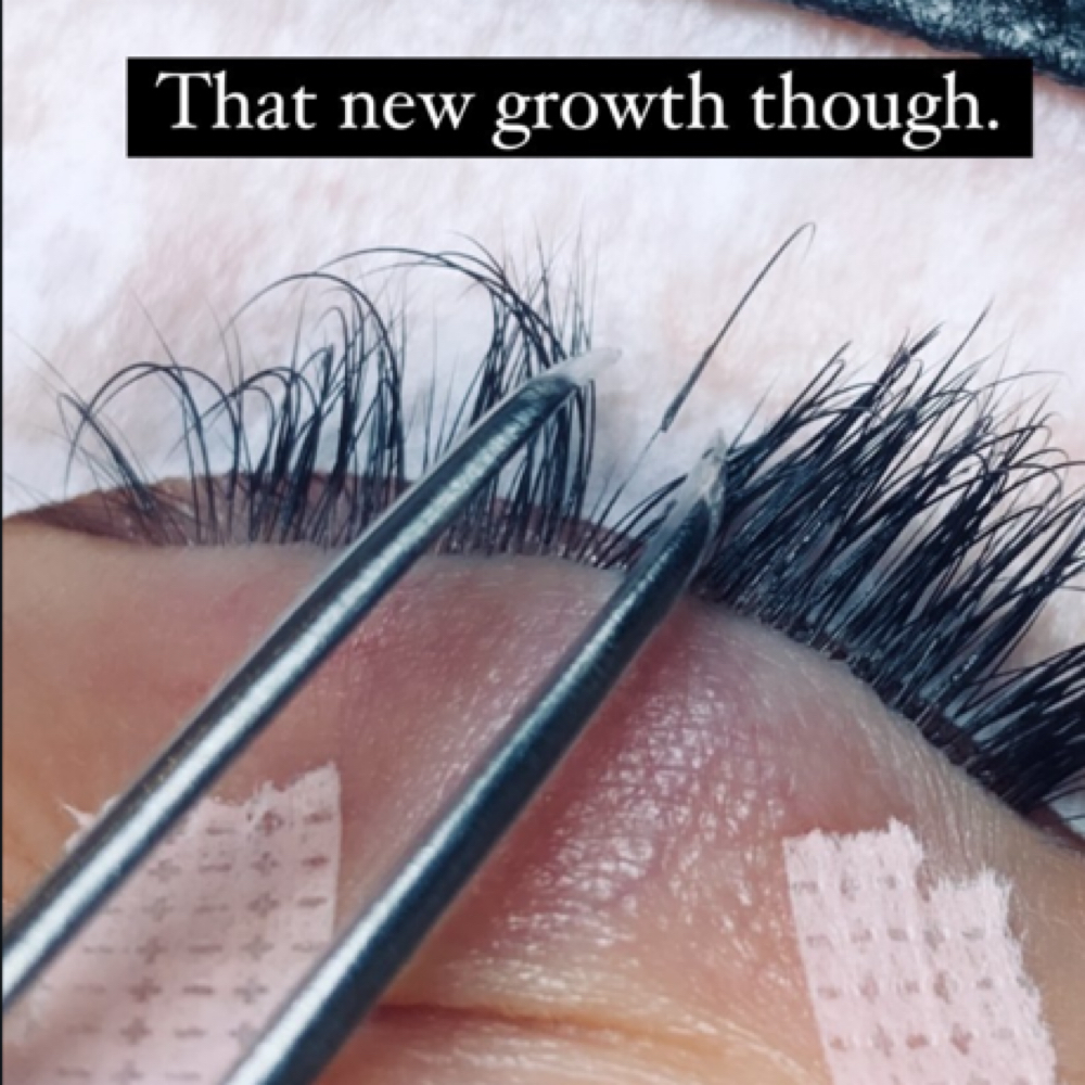 3 Week Classic Fill at — Lashing It Up — in Long Beach, CA