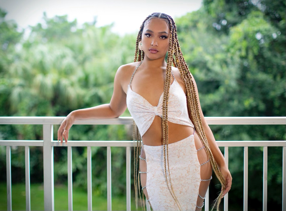 Shmedium Knotless Braids