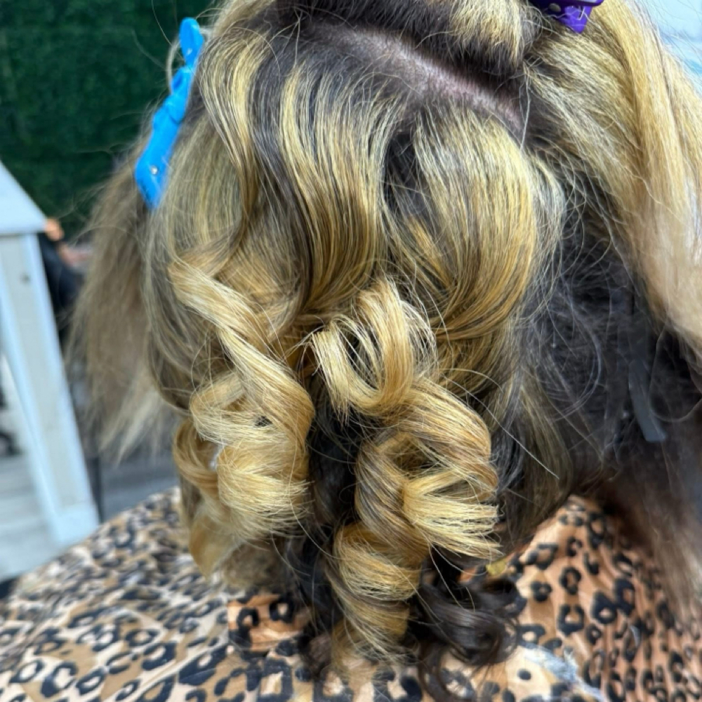 Partial Highlight at Shear Purpose Beauty LLC in South Bend, IN