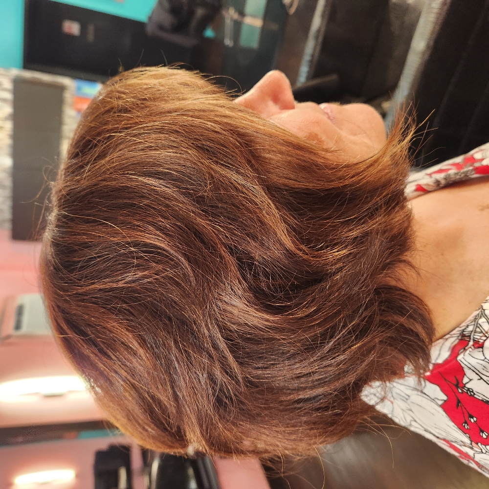 Long Cut at Colleen at Painted Lady Hair Parlor in Minneapolis, MN