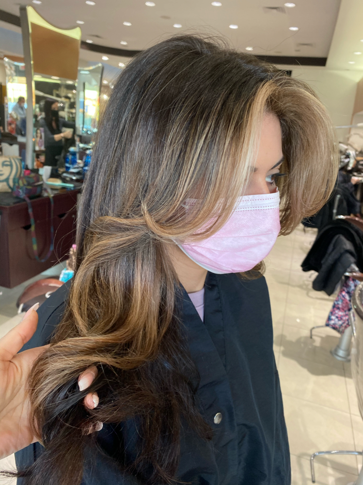 Partial Balayage | Highlights