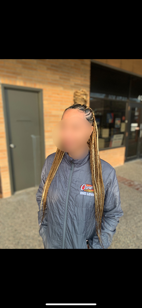 Half Up Half Down Med/box Braids