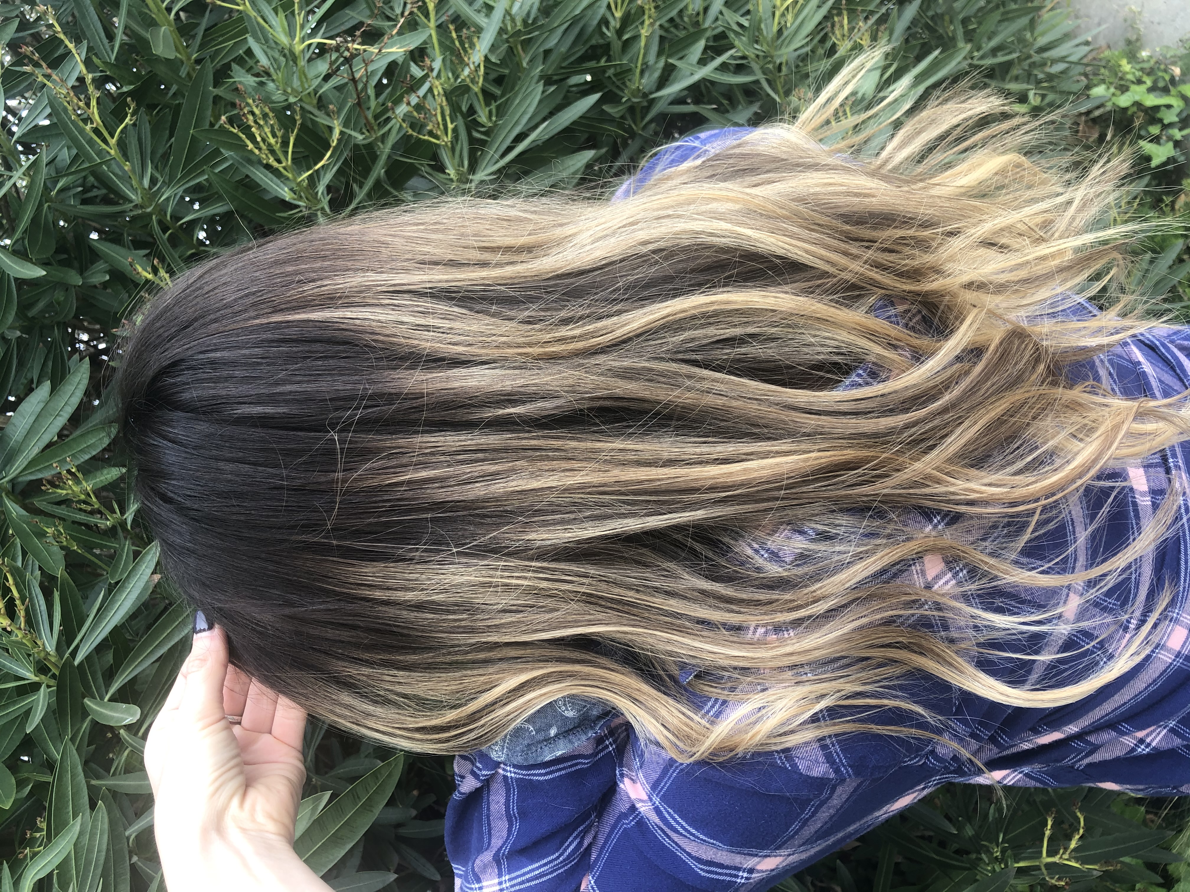 Root Touch-Up