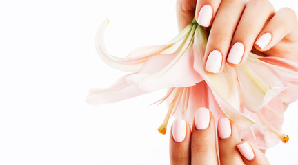 Regular Manicure