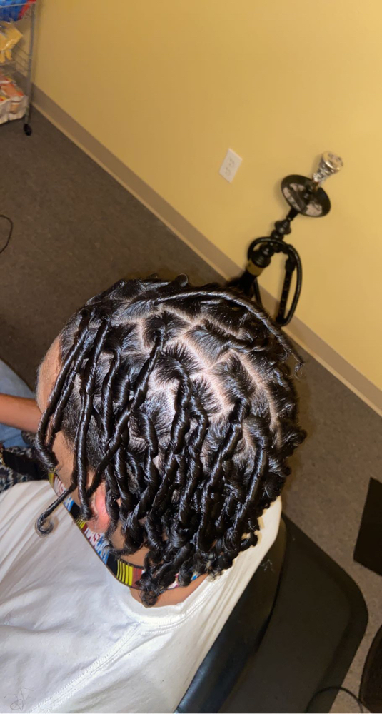 Starter Locs