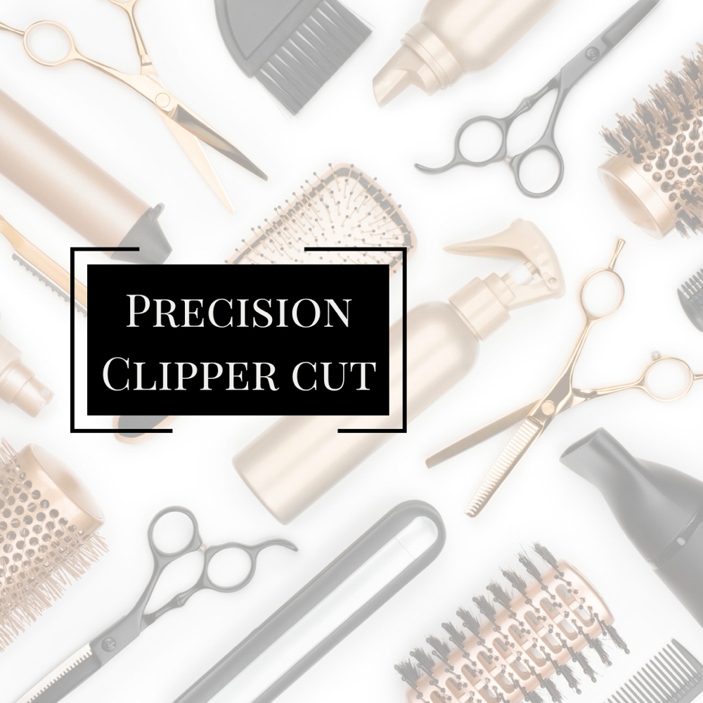 Precision Clipper Haircut