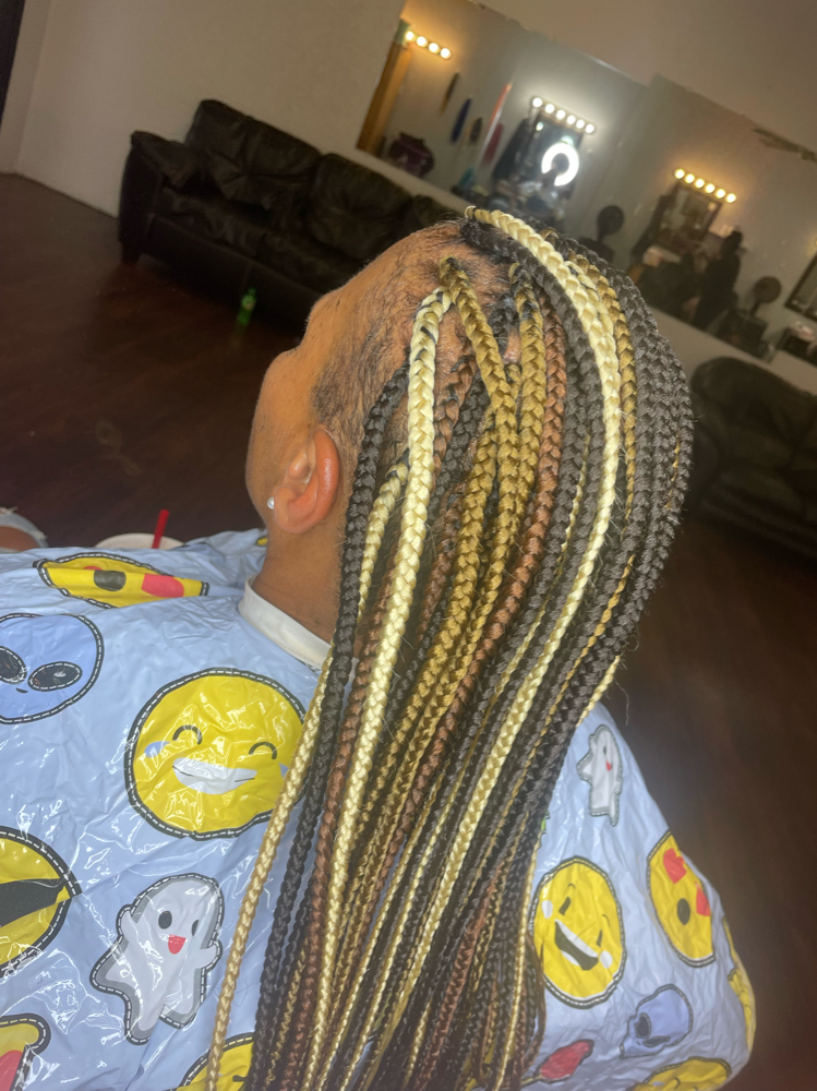 Small Box Braids (Top Only)