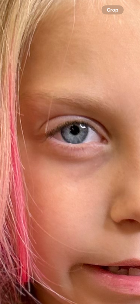 Peek-a-boo Highlights