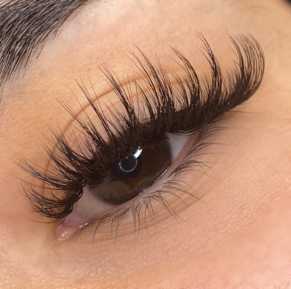 Wispy Wet Lash Ext. Fill