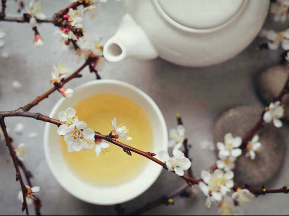 White Tea Pedicure