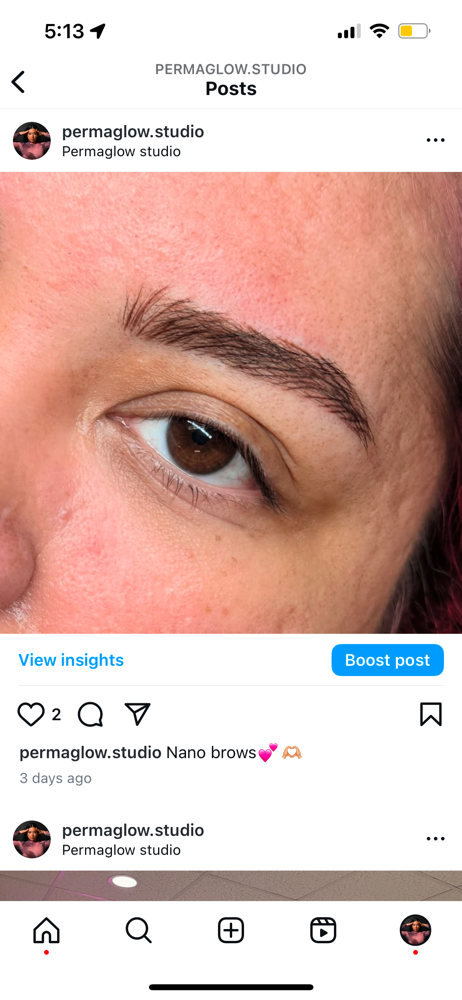 Nano Hair Strokes- Nano Brows