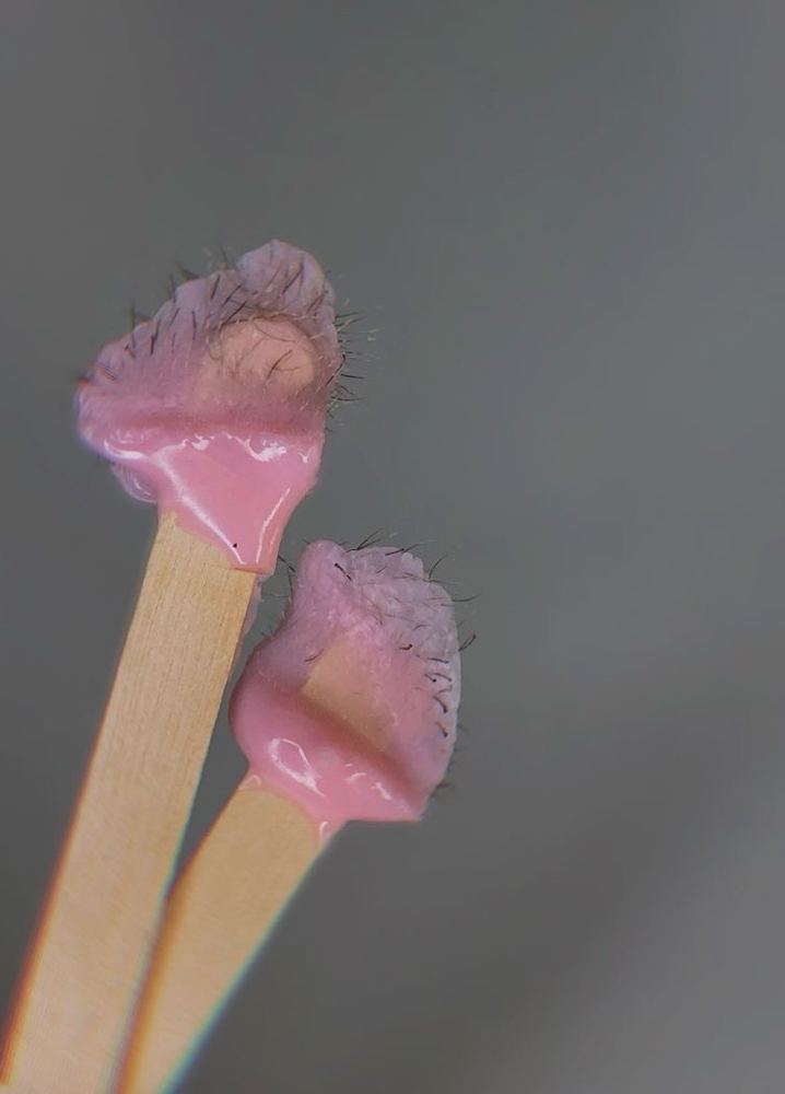 Nostril Wax