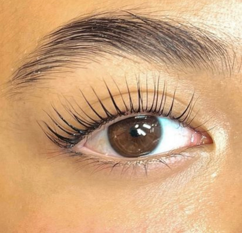Lash Lamination & Tint