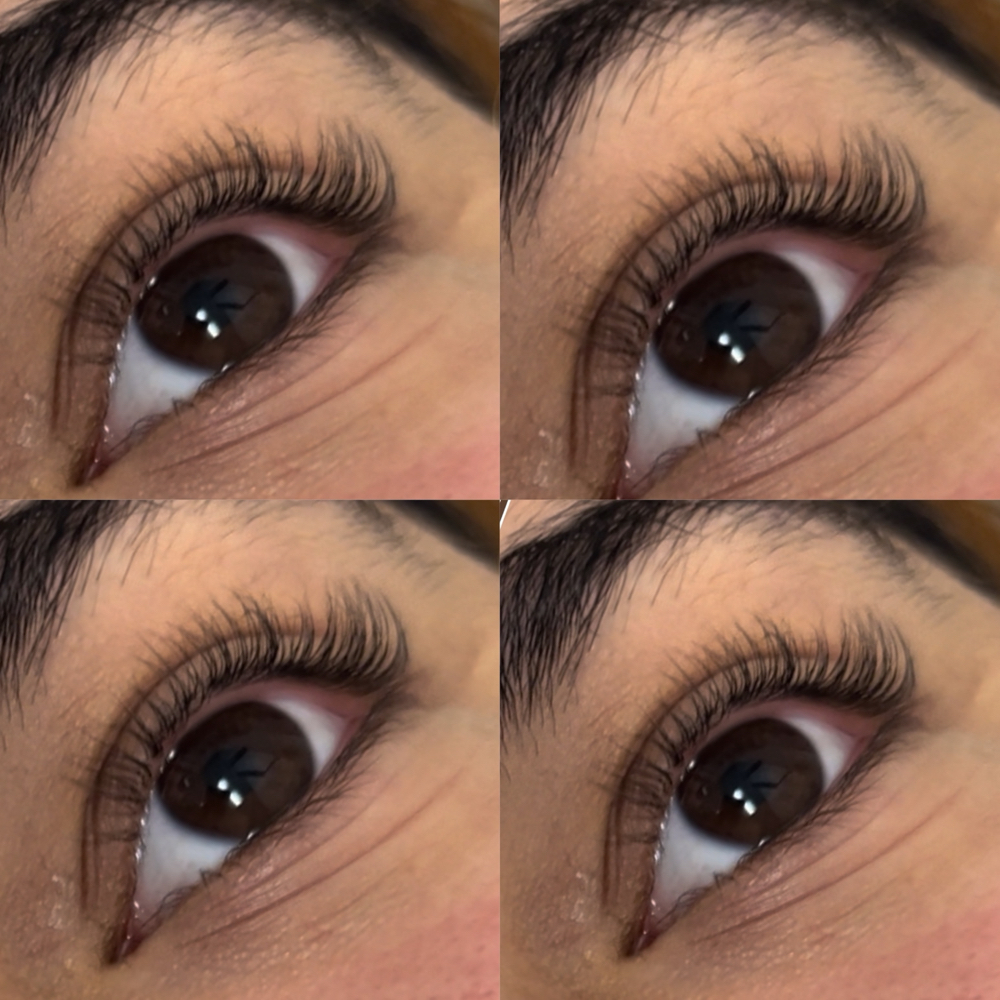 Lash Lift &Tint( Groupon)