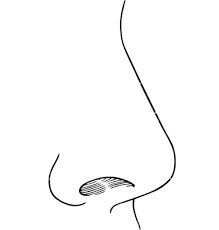 Nose Wax