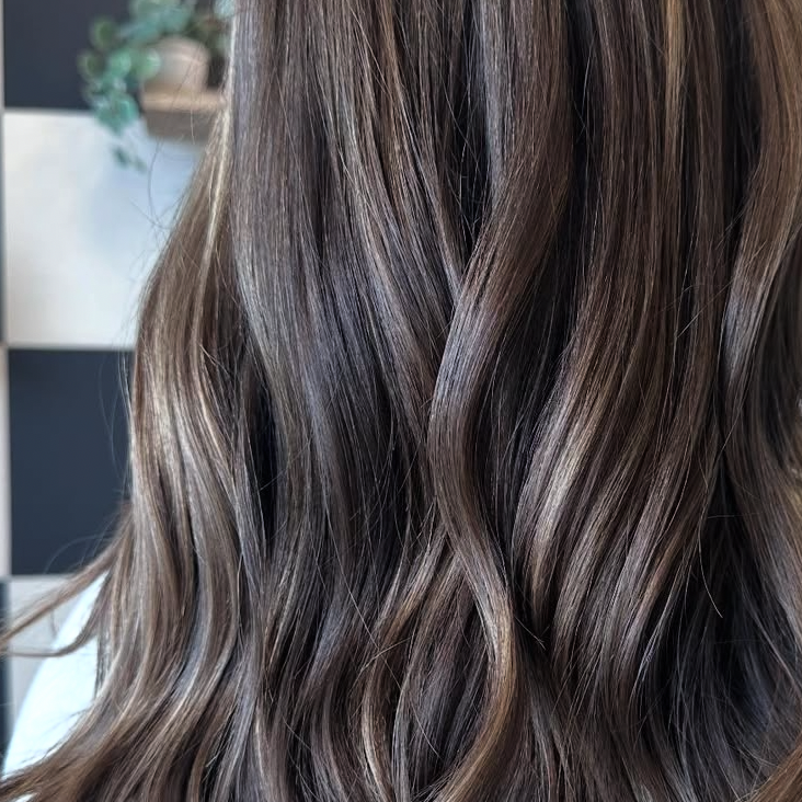 BALAYAGE at Firefly Hair Company LLC in CENTENNIAL, CO