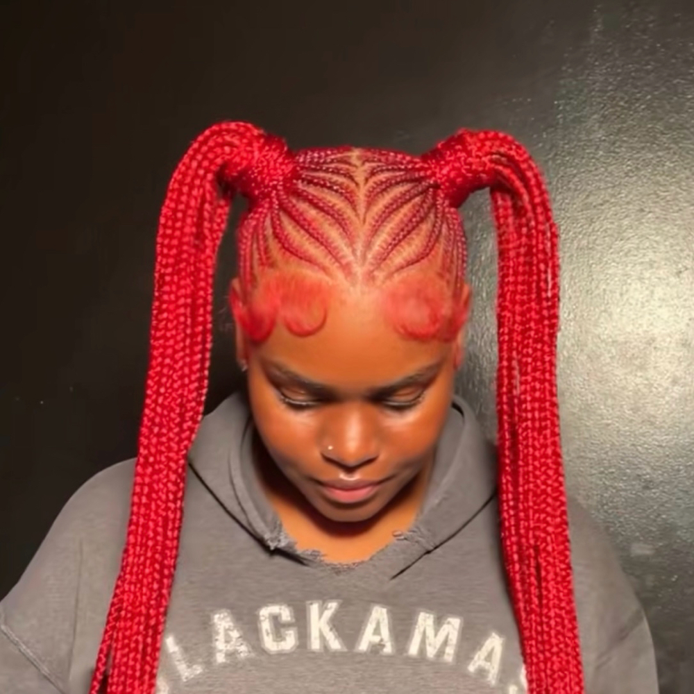 2 Feeding Boho Braids Ponytail