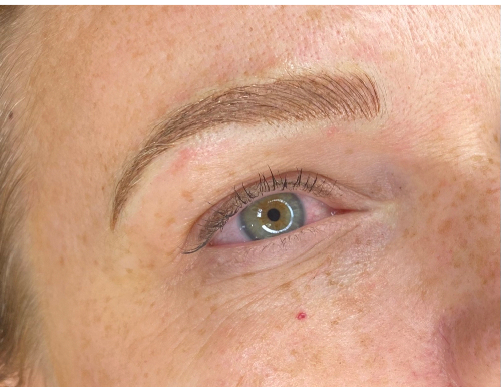 Eyebrow Touch Up 6-8 Weeks