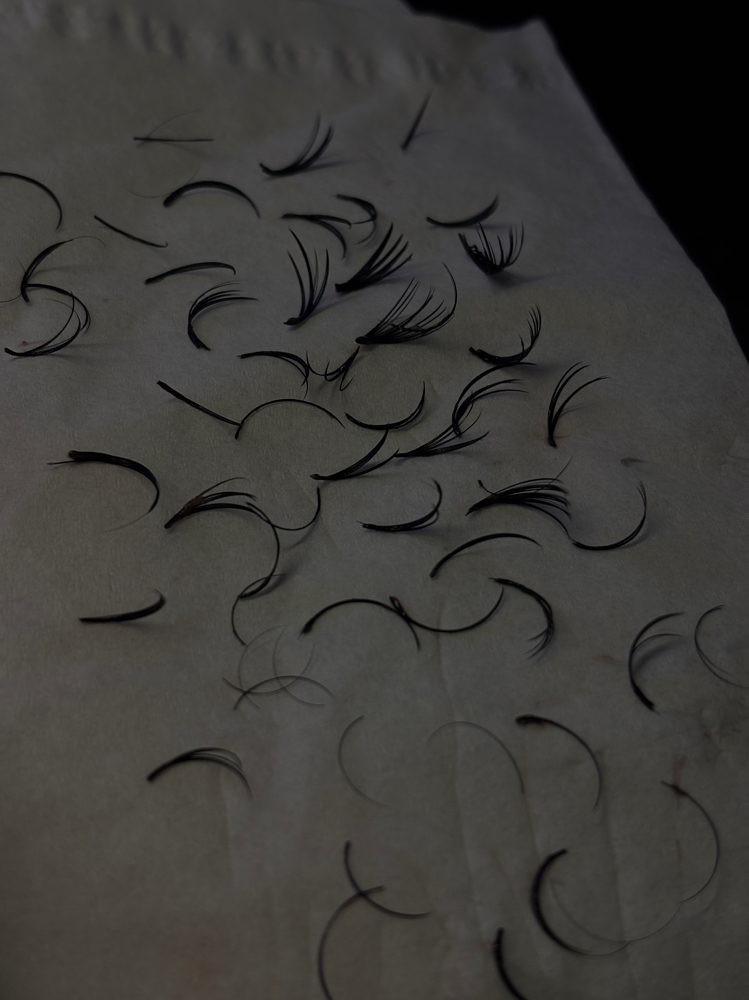 Lash Removal 🧹 at trippalash in Boulder, CO