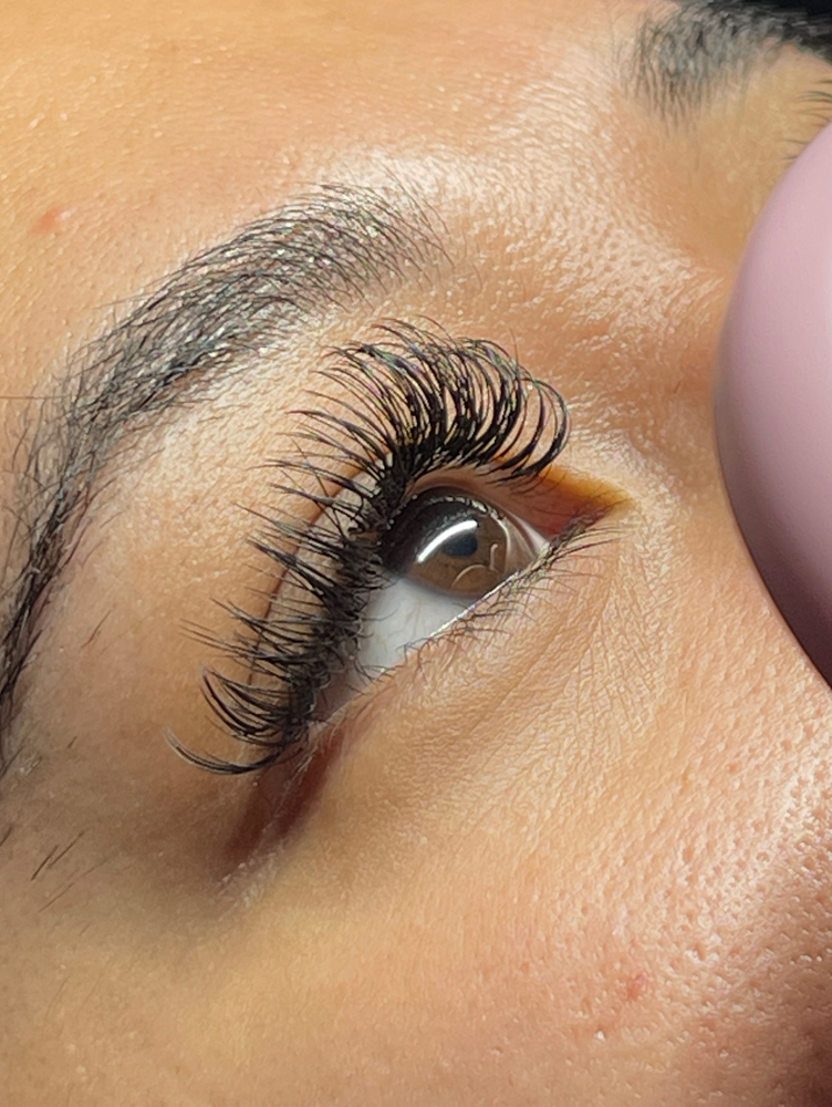 Classic Lashes