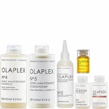 Olaplex Repair, Protect Treatment