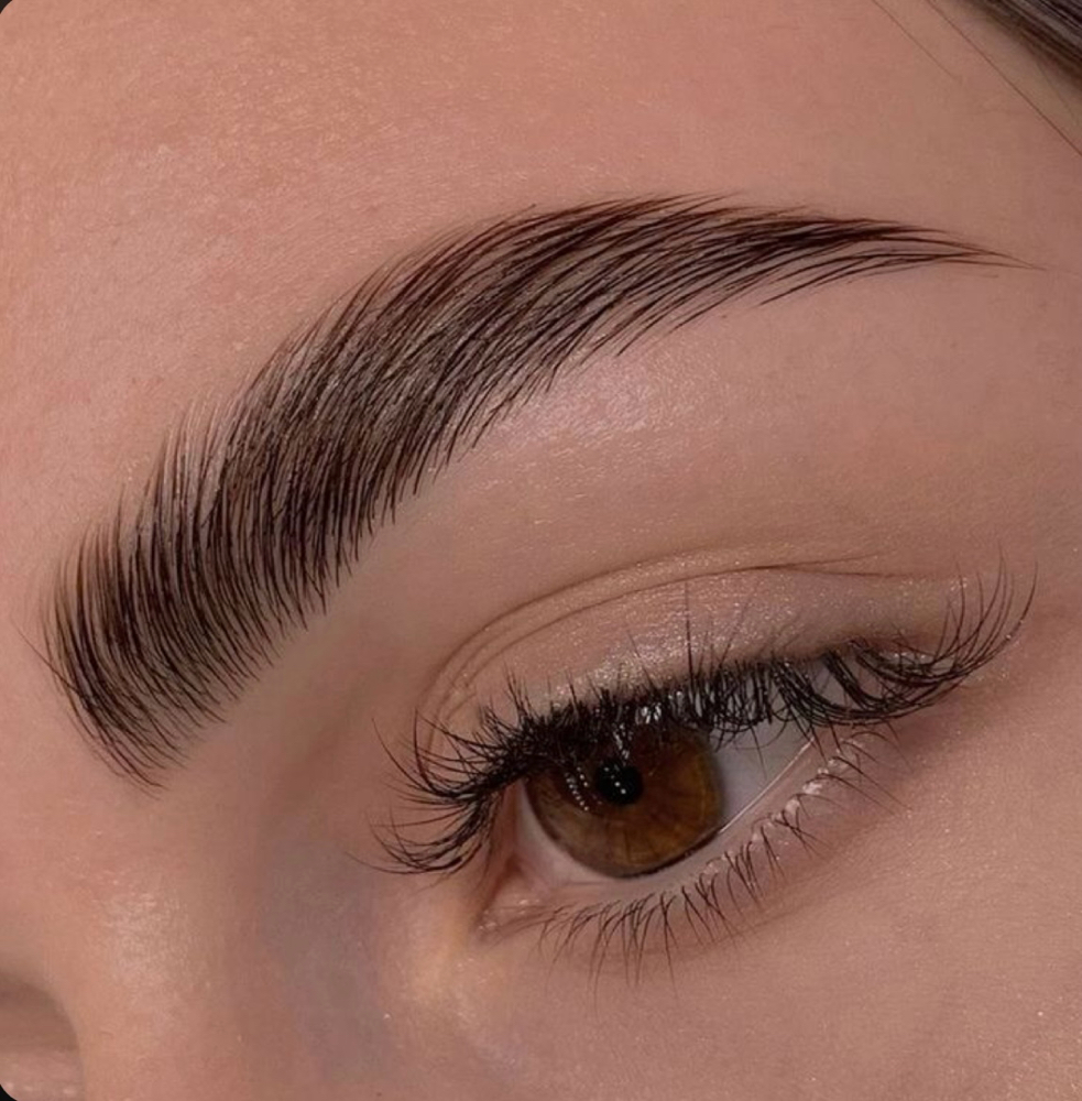 Laminado de Cejas