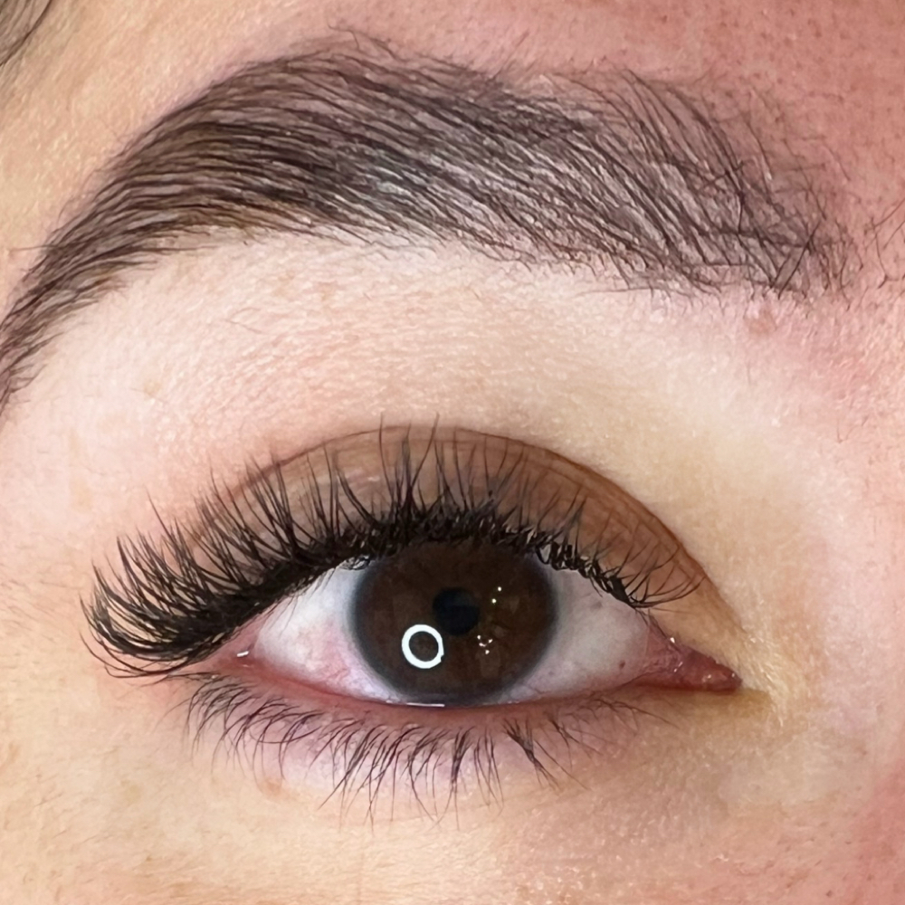 Y lashes fill at Lulu Beauty Spa in Chicago, IL