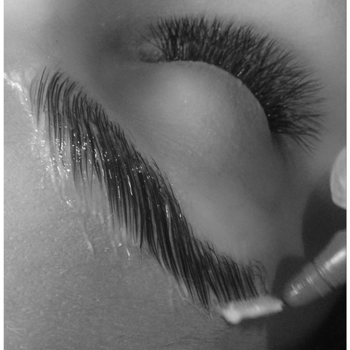 Brow Lamination at Salon Gio + Esthetics in Marrero, LA