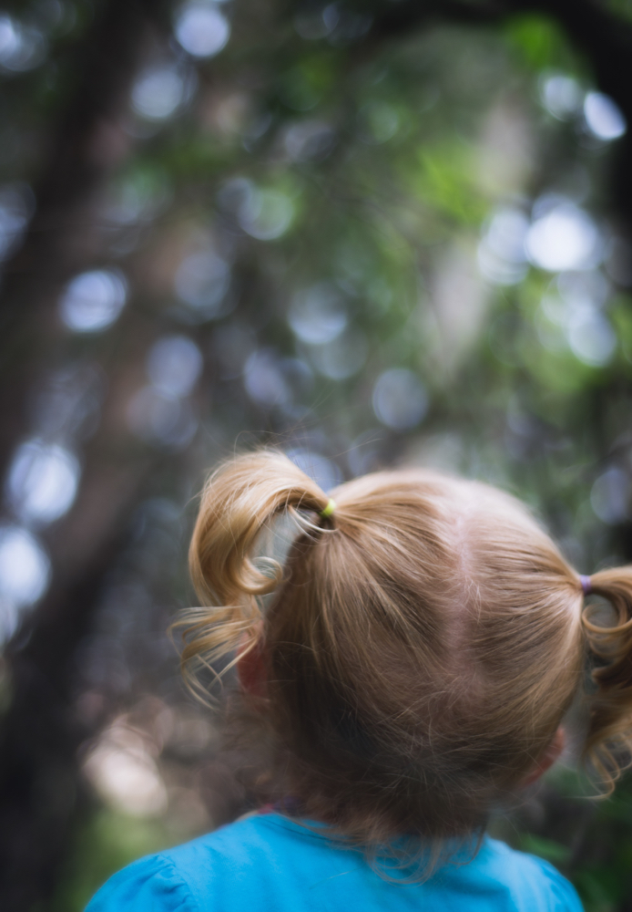 Child's Dry Haircut