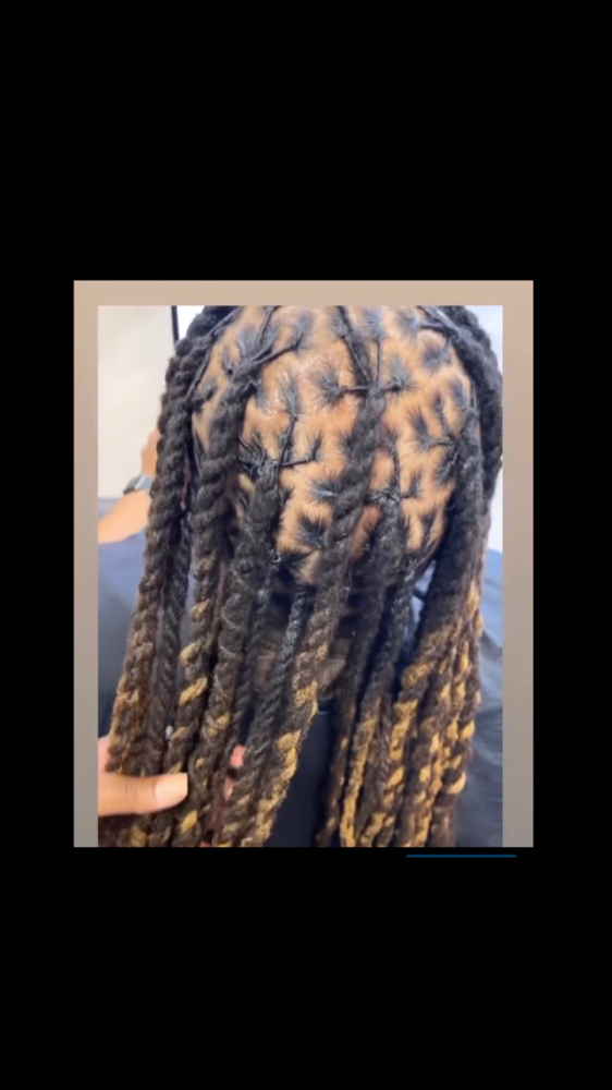 Shampoo retwist W/ Two Strand Style