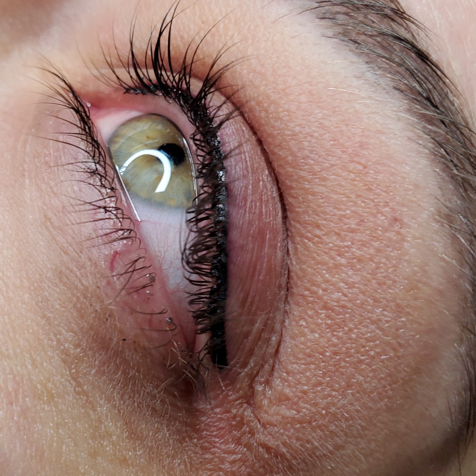 Lash Enhancement at Lumi Ink Studio PMU & SMP in Bartlett, IL