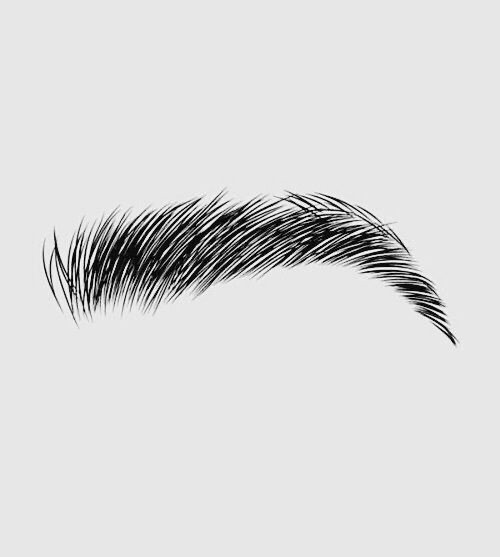 Brow Tint