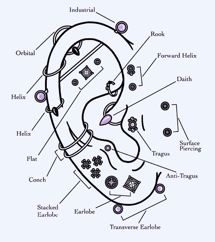 Piercing & Curating Consultation