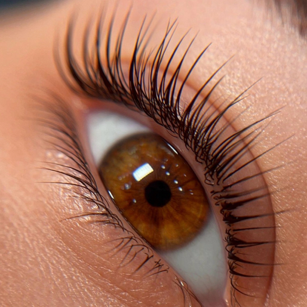 Korean Lash Lift at Serenity Lash Lounge in Houston, TX