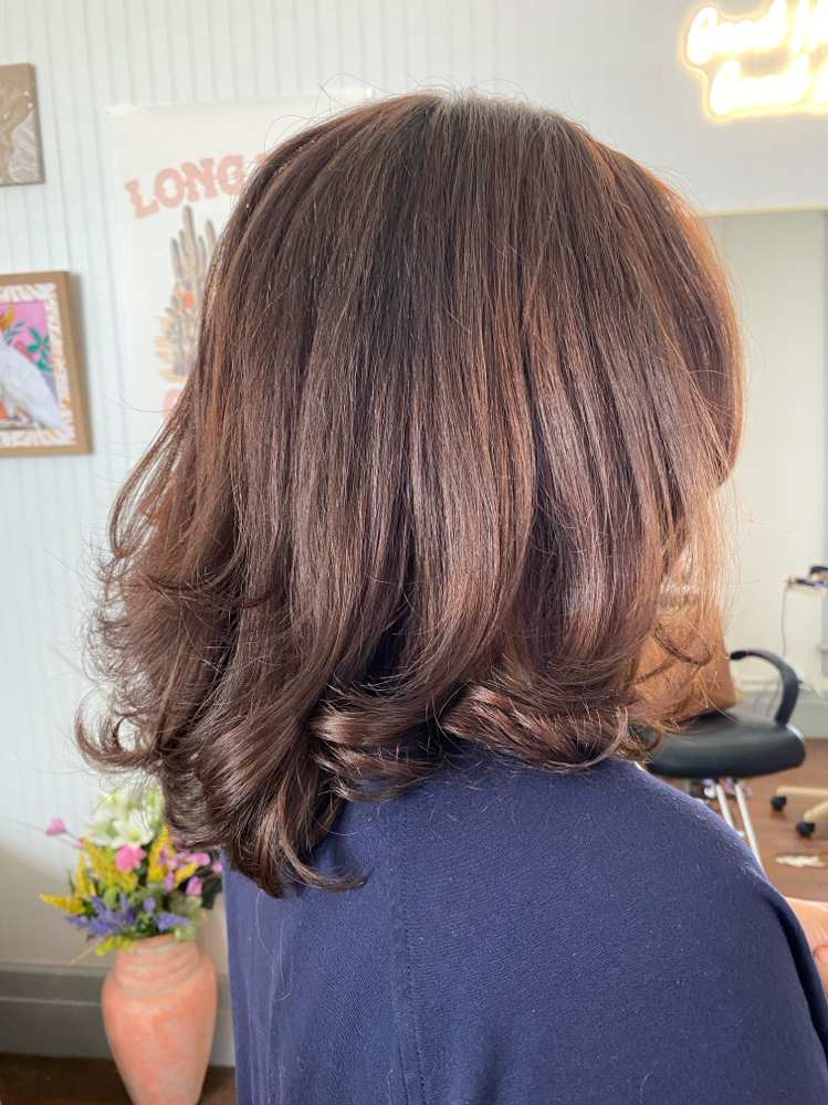 Gloss / Toner Wtih Cut & Style