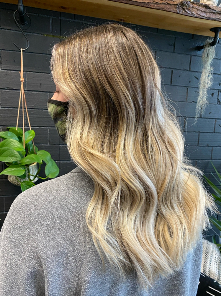 Partial Balayage/Foilayage + Cut