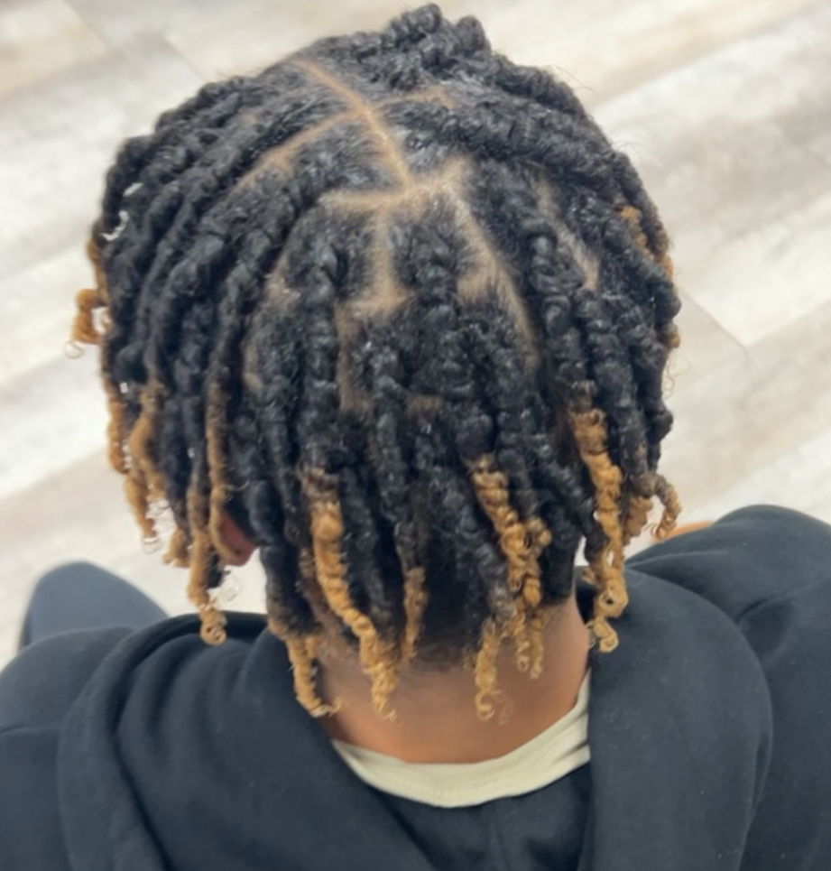 Natural Twists (Wet)/Half Head