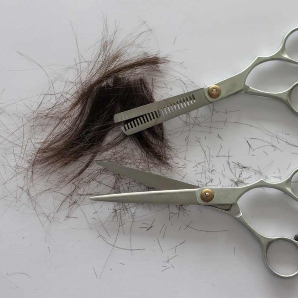 Senior Haircut (55+) at Fades & Foils Hair Studio in Granton, WI