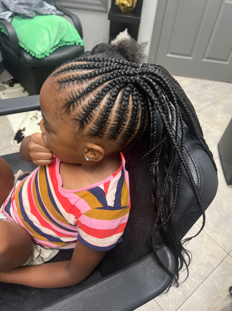 Classic Braid Ponytail(small parts)