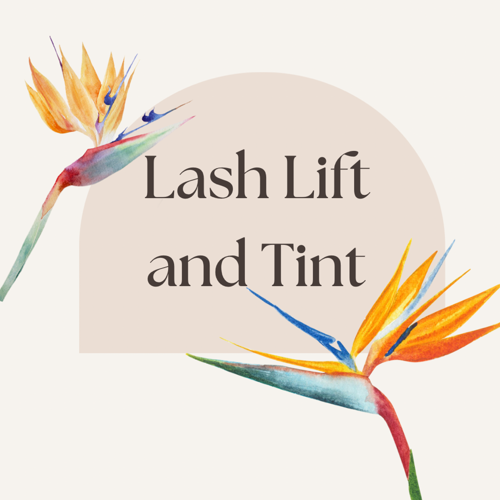 Lash Lift and Tint
