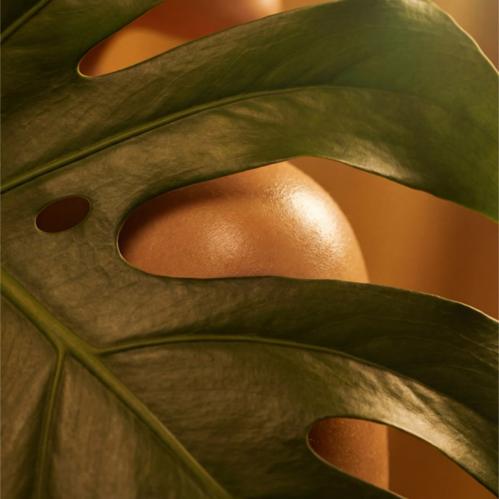 Bikini Line Wax at The Skin Atelier in Bronx, NY