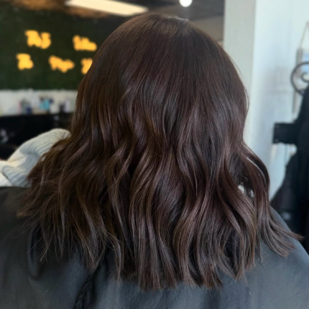 Signature Color at Concrete Image Salon in Waite Park, MN