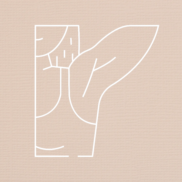 Underarm at Crown’d Esthetics in Tampa, FL