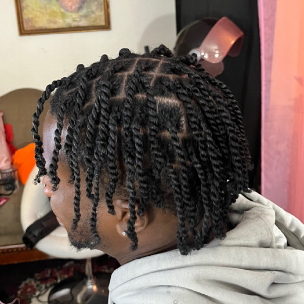 Traditional Twist at Cheveux Luxee in Columbia, MD