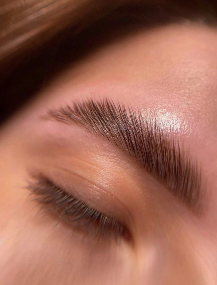 Tinting || BROWS & LASHES