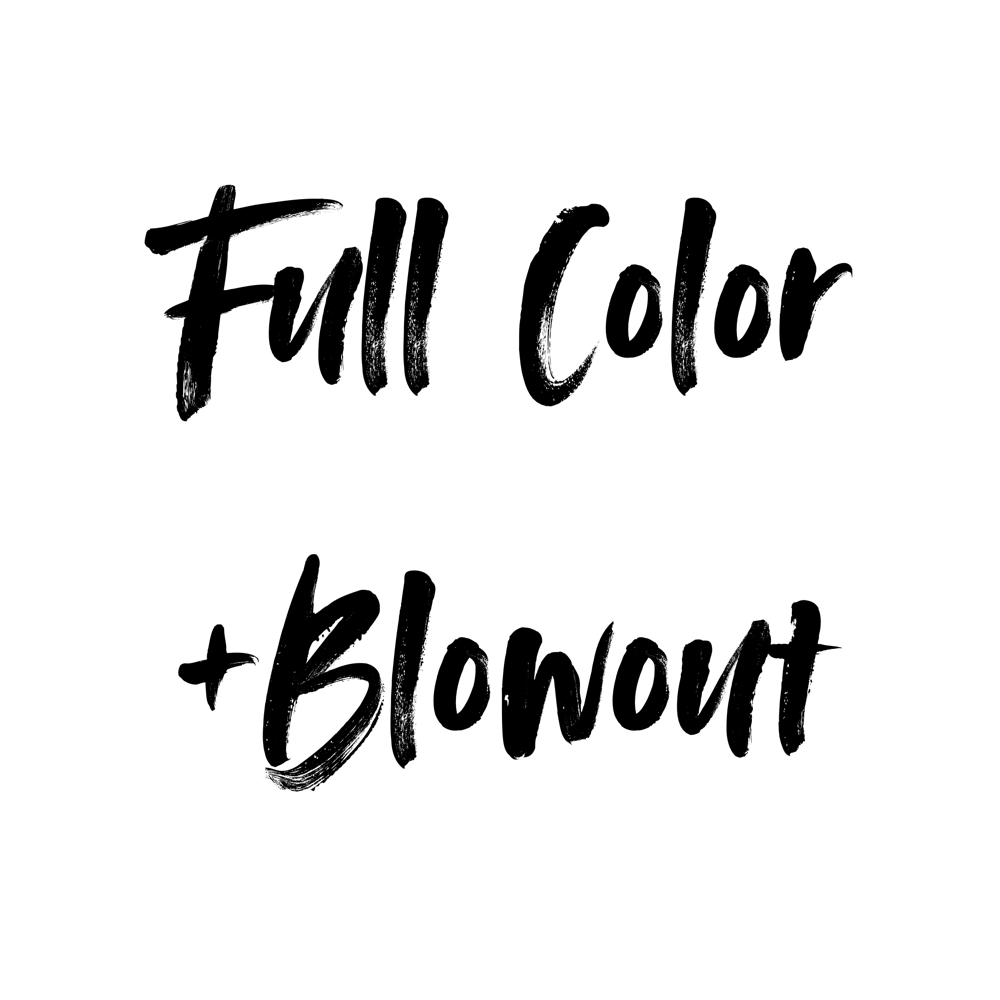 Full All Over Color+Blowout at ROYGBV Creative Hair Design in Woodhaven, MI
