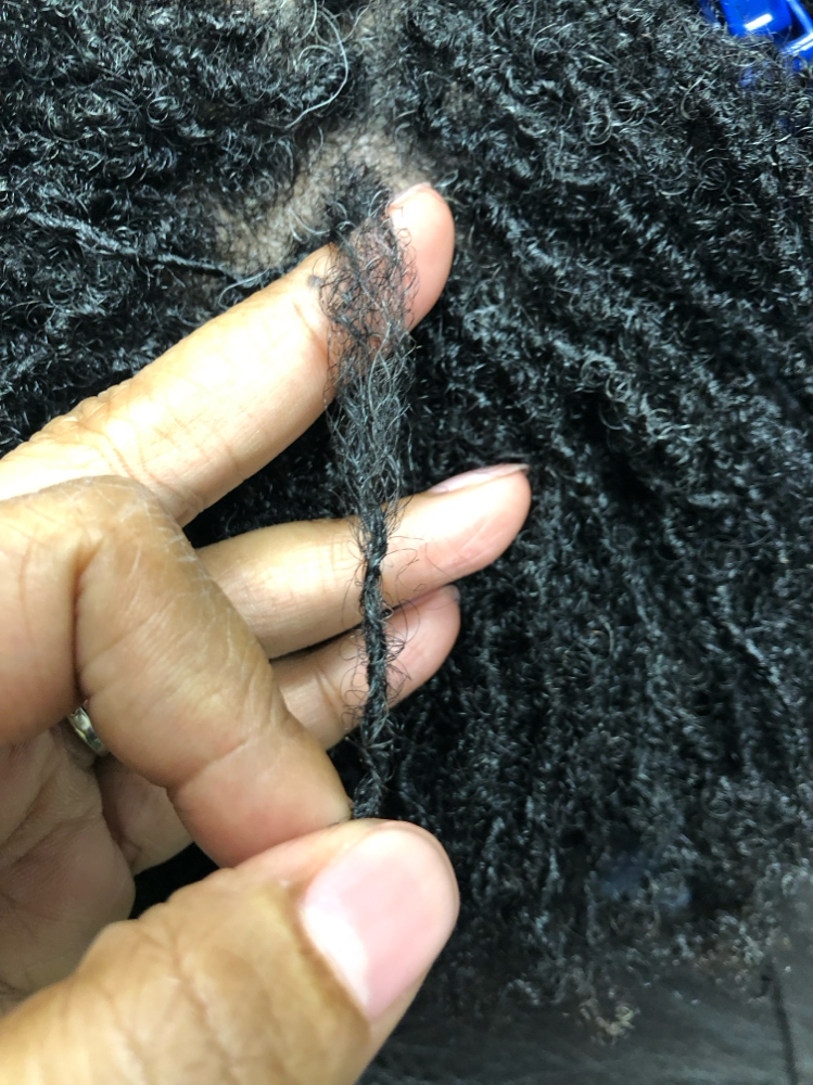 Sisterlocks TM Repair/ Grooming